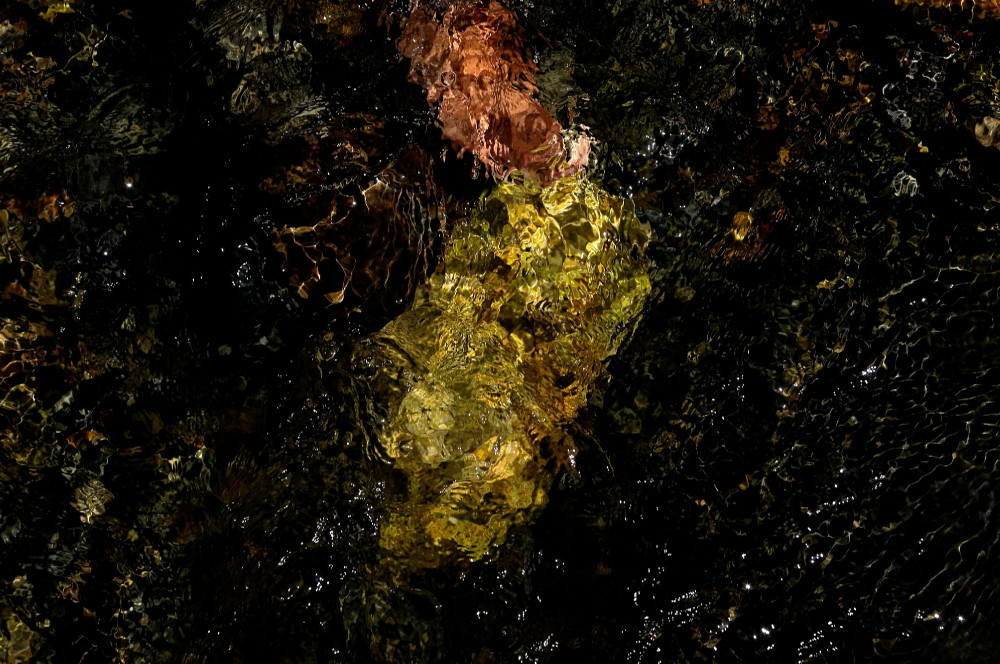 Photo taken during a session from San Pedro, Huachuma in Ecuador's Podocarpus National Park. Meeting with the San Pedro cactus. It is part of the "trance vision" cycle. An alternative psychedelic therapy session. Photo of water in a mountain river with a very fast exposure time of 1/4000. One of my favorite photos.