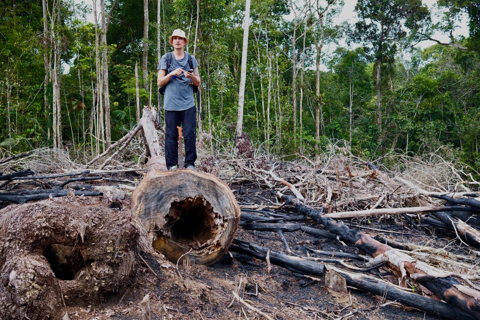 Deforestacja amazonii