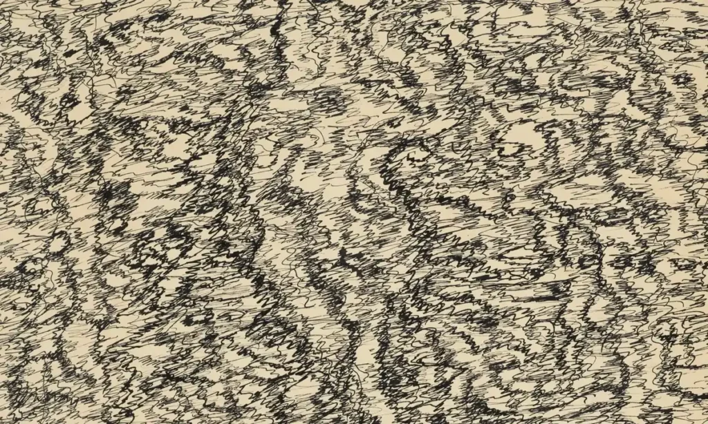 Henri Michaux: The Mescaline Drawings