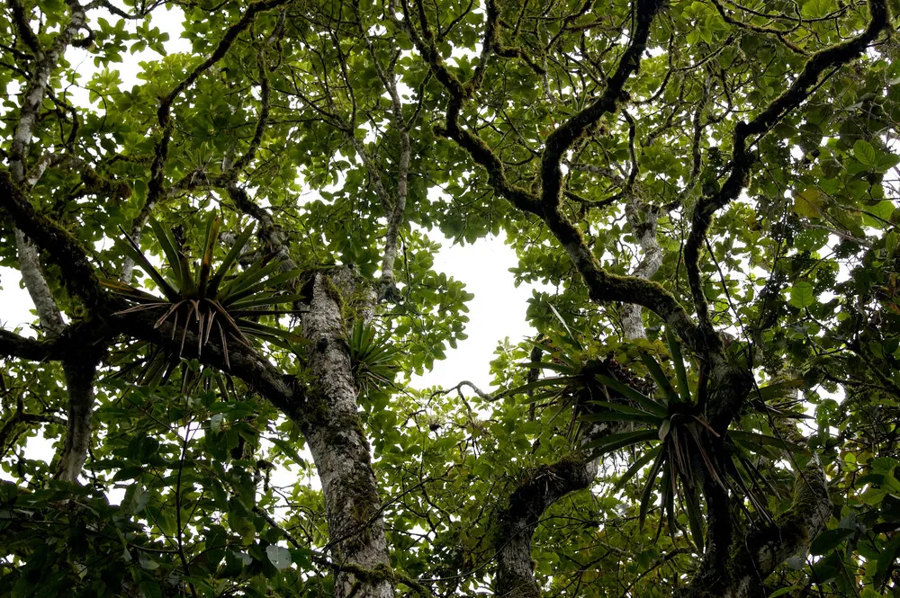 mindo-ecuador-san-pedro (3)
