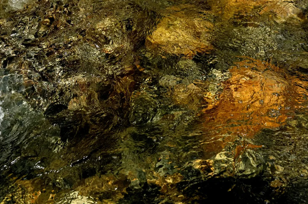 psychedelic-forms-water-ecuador-huachuma-sanpedro-01