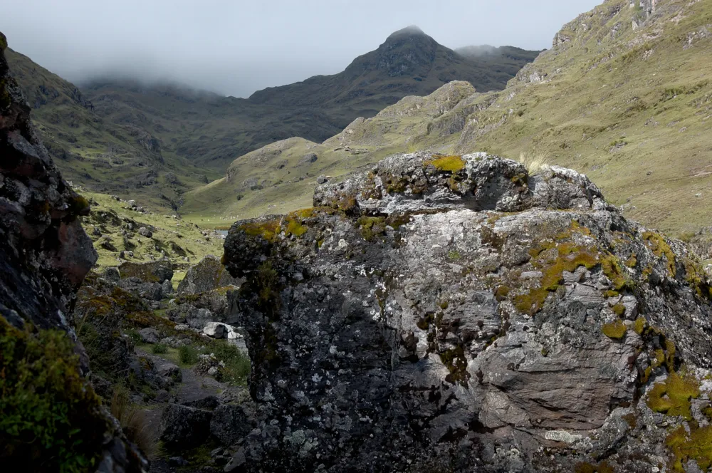 san-pedro-kaktus-huachuma-trek-peru-kinsacocha (17)