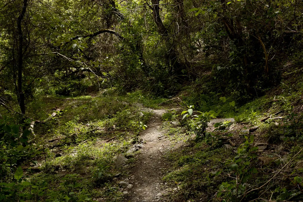 vilcabamba-area-san-pedro-holydays (63)