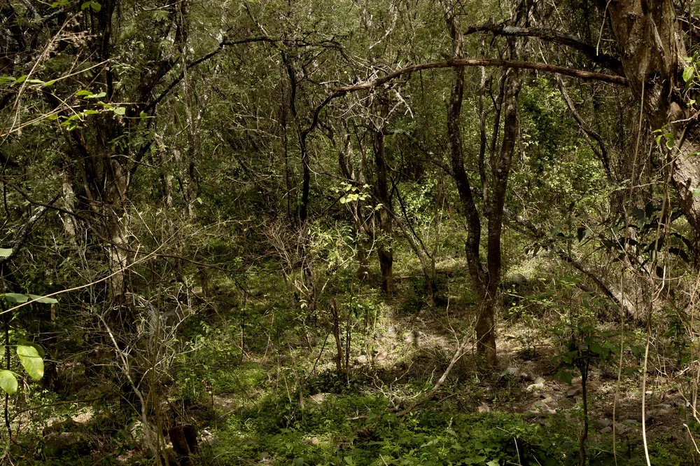 vilcabamba-area-san-pedro-holydays (66)